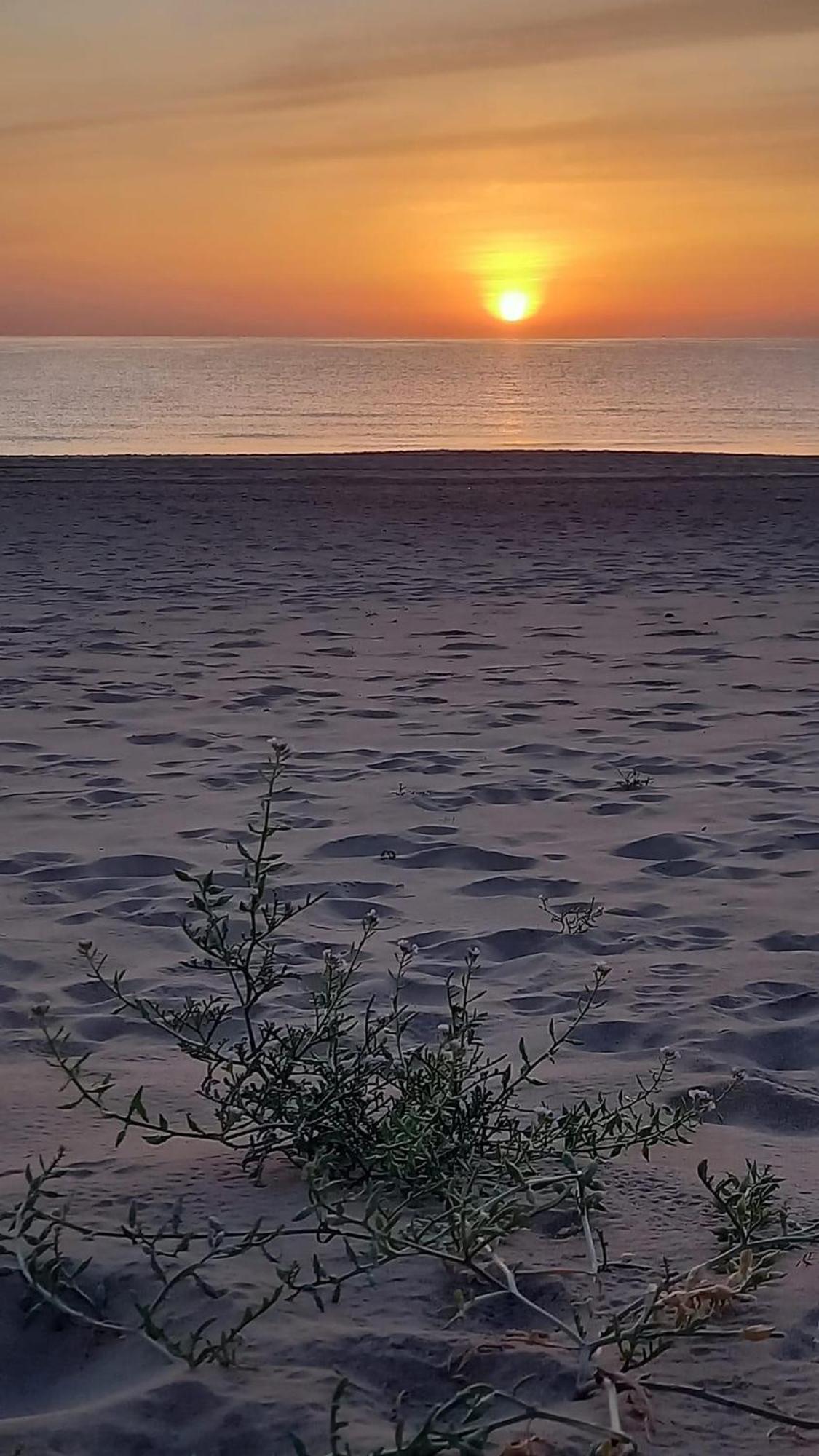 Willa Vivienda En El Campello Playa Zewnętrze zdjęcie